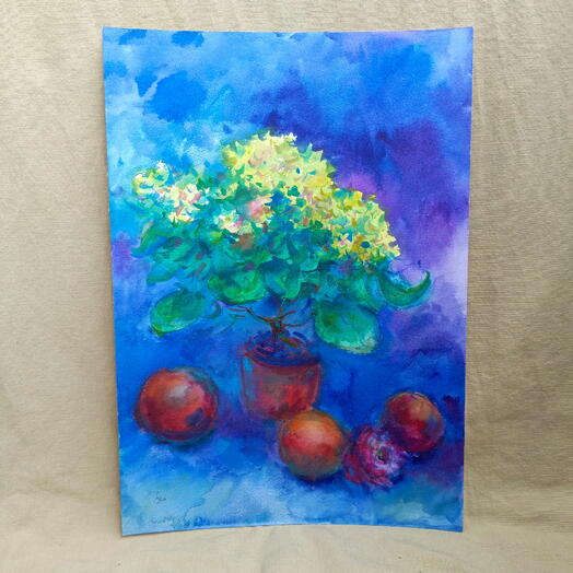 Цветущая гортензия в горшке Яркая картина