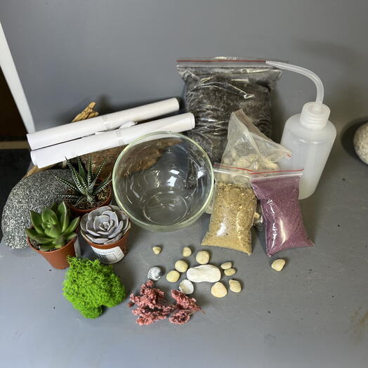 Набор для создания флорариума своими руками с лейкой