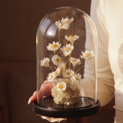 Композиция с ромашками в колбе