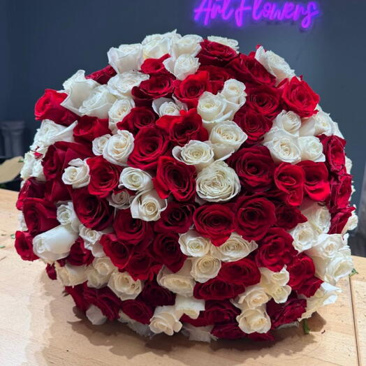 200 Red and White Roses