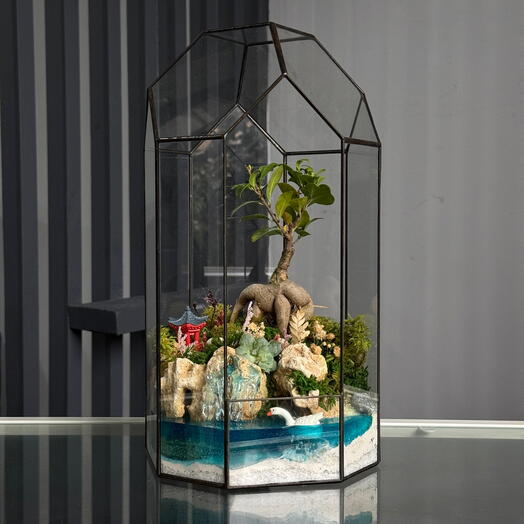 Флорариум бонсай