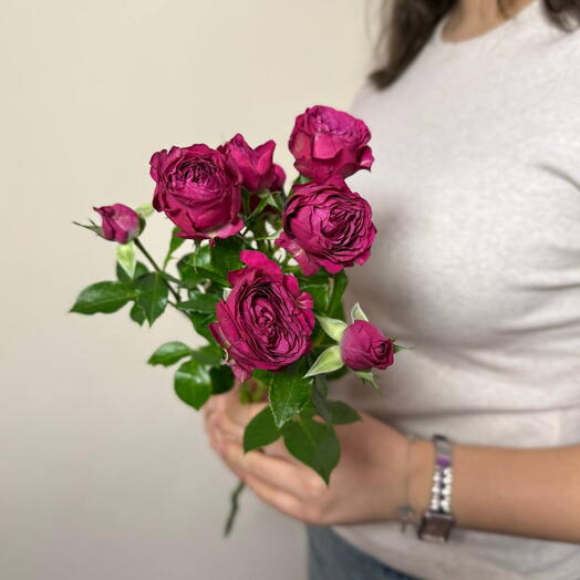Роза кустовая "Шайен"
