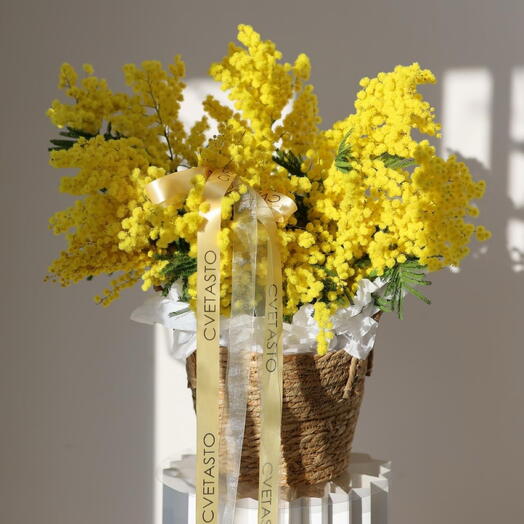 Корзина с мимозой