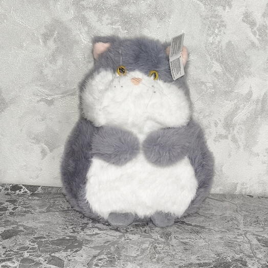 Котик