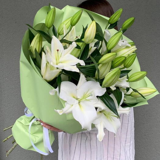 🫐 Веселая симфония 003