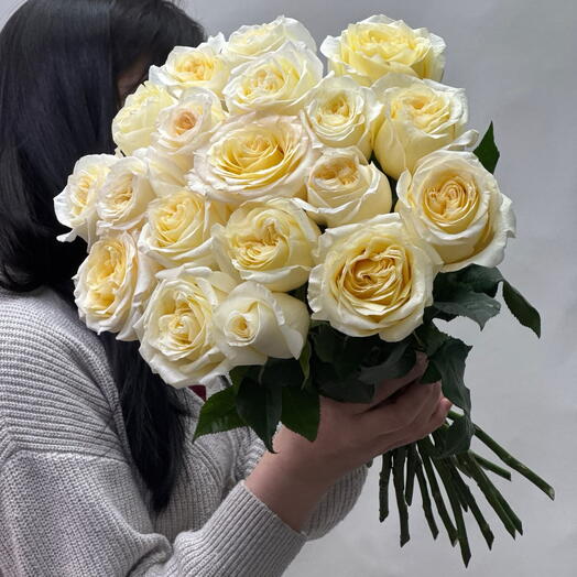 21 Роза эквадор сорта канделайт
