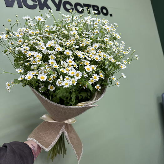 Букет  Ромашек