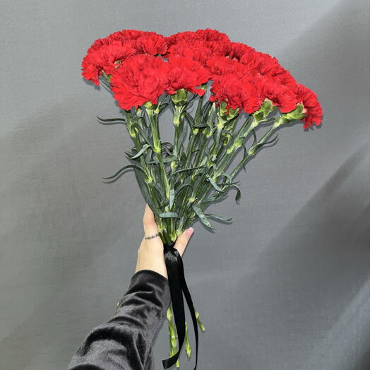 Гвоздика красная 20