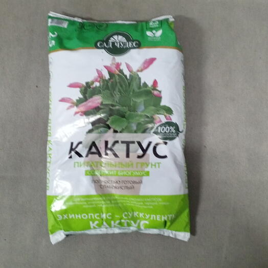 Земля для кактусов