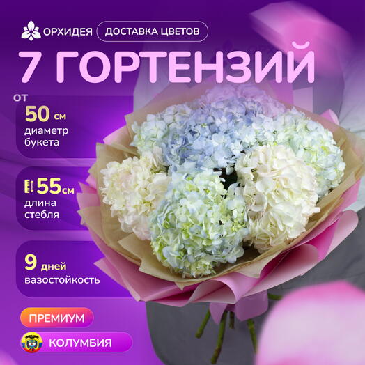 7 гортензий "Джамбо" круглый