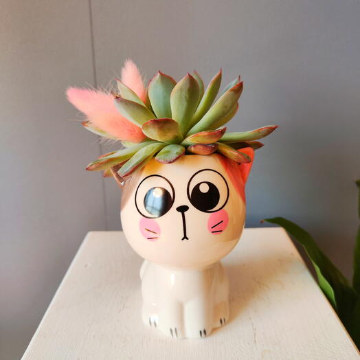 Композиция Котёнок