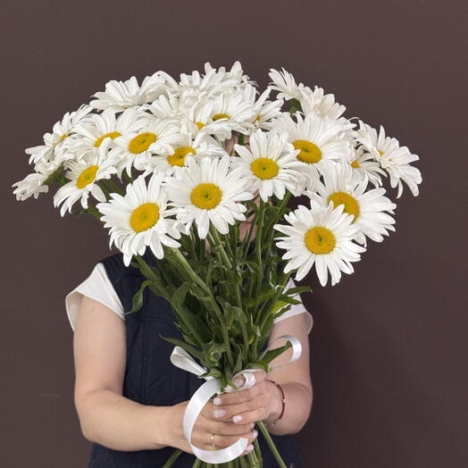 Букет из 25 шт. Ромашек