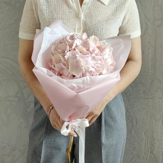 Гортензия Розовая🌸