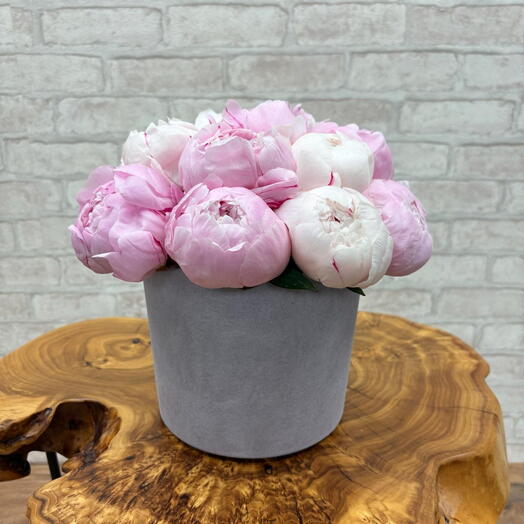 Розовые пионы в бетонном кашпо "Urban Peony"