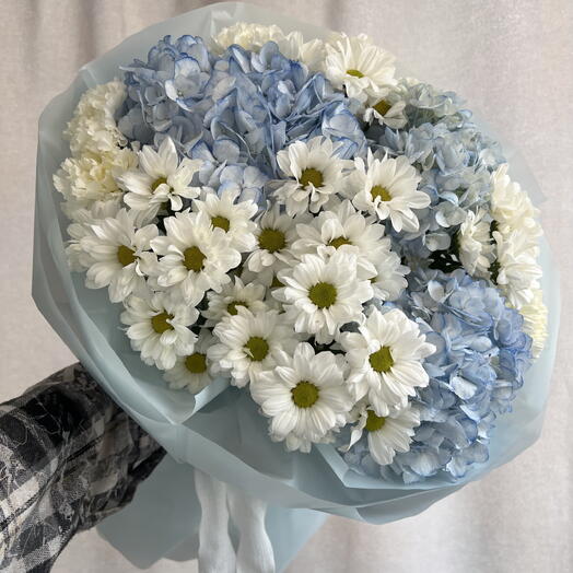 Гортензия с ромашками 🌸