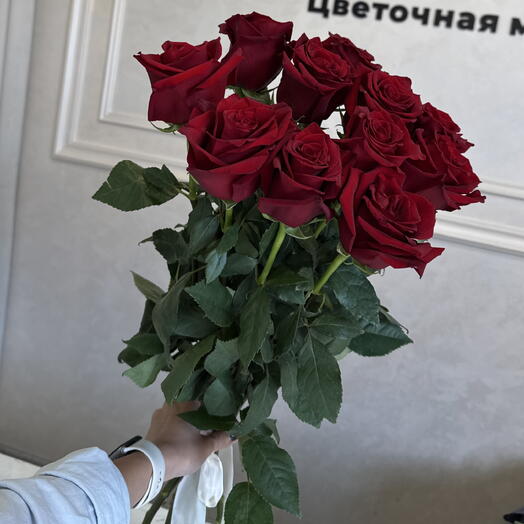 Красные розы 11 шт