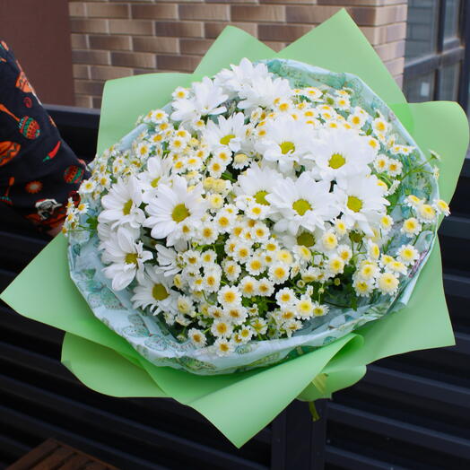 Сезон Ромашки