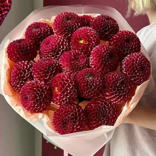 Бордовые шикарные георгины