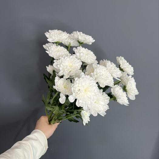 Букет Моно из хризантем