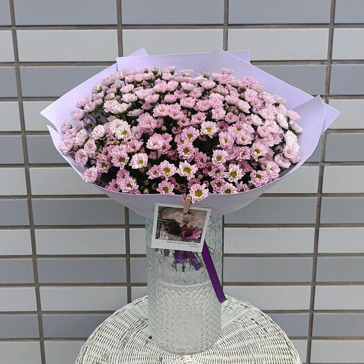 Большой букет сиреневых ромашек 💜Хризантема сантини Ромашки