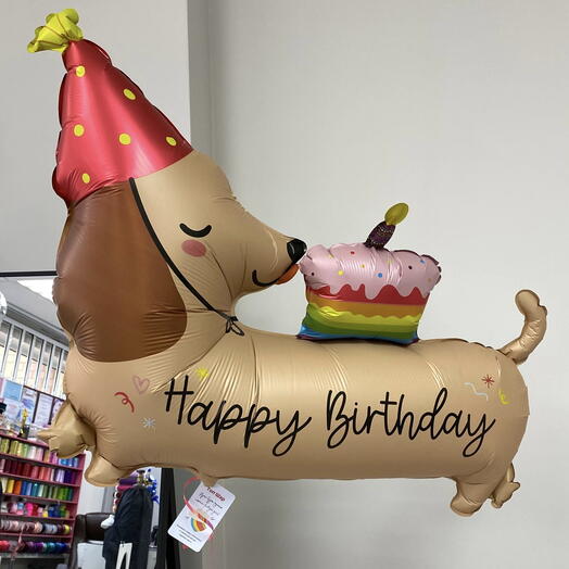 Шар собака - такса в колпачке на день рождения "Happy Birthday"