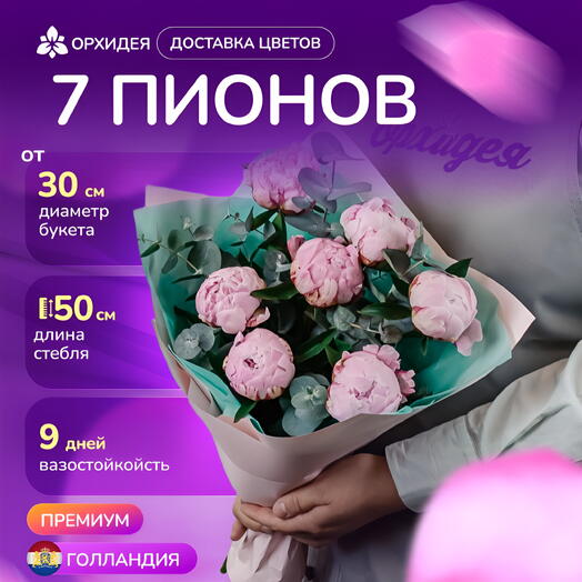 7 Пионов "Сара Бернар" с эвкалиптом