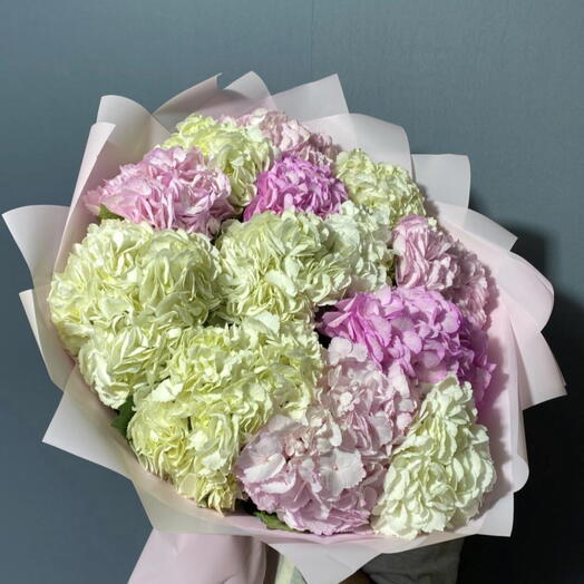 Микс гортензий 15 шт