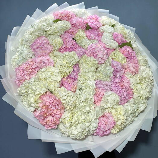 Микс гортензий 61 шт