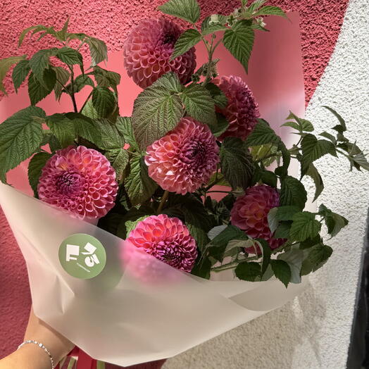 Raspberry and Dahlia