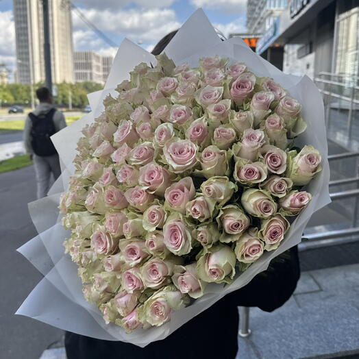 Нежно розовая Роза