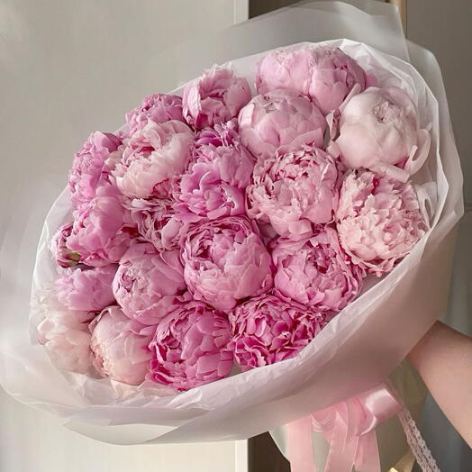 Dutch Peonies