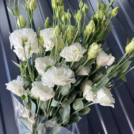Эустома 💐