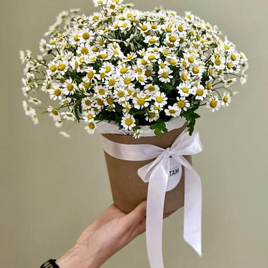 Композиция из  11 шт полевых ромашек ( камилла, танацетум, матрикария)