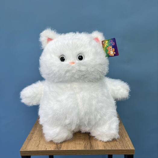 Кот Толстяк