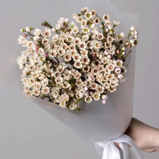 Хамелациум букет 🌺
