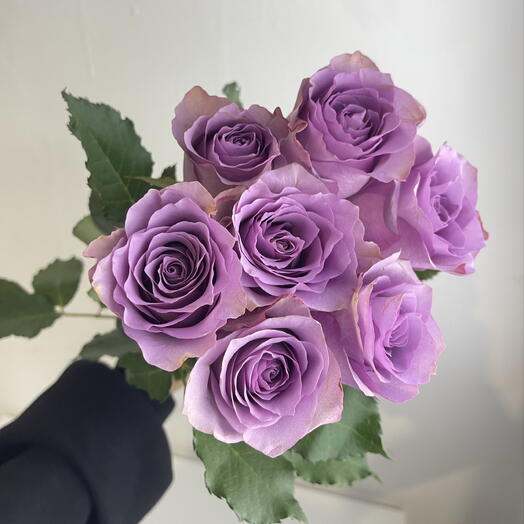 Букет роз фиолетовых 💜7
