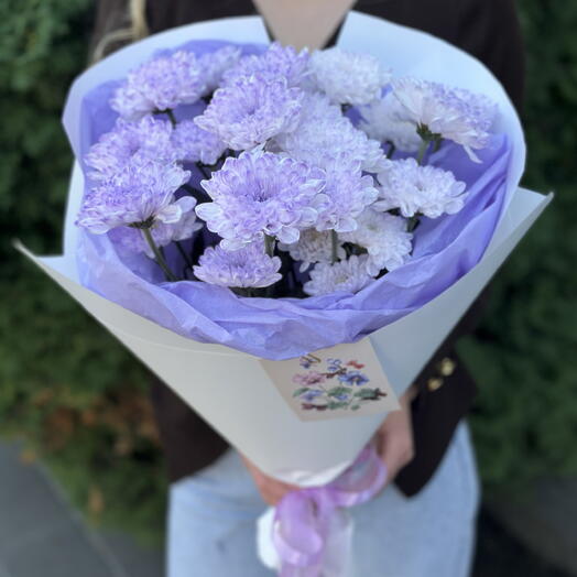 Лавандовые хризантемы