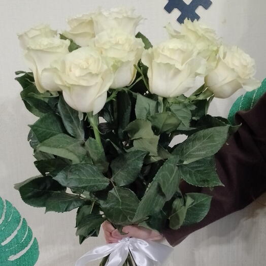 Розы
Мондиаль