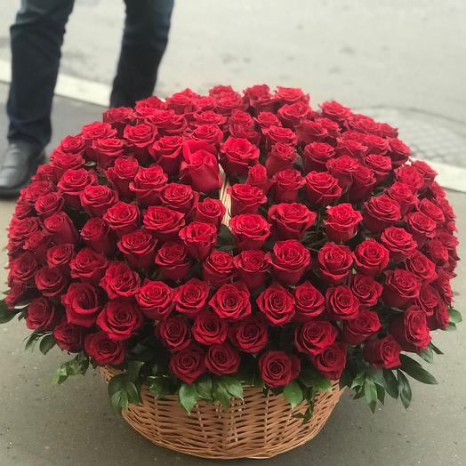 Крупные розы в корзине