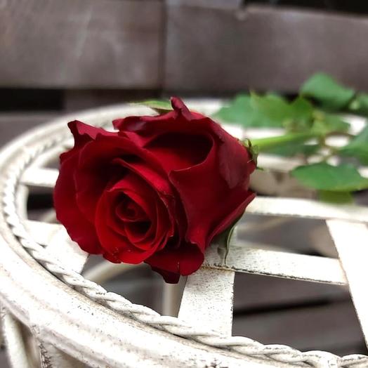 Rosas rojas 45 cm por pieza