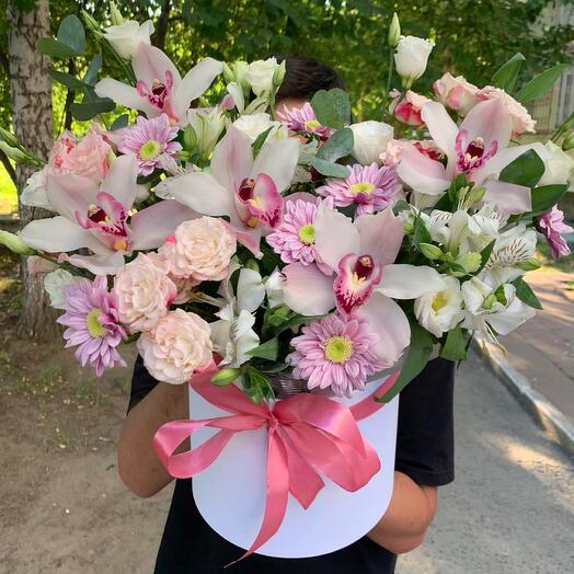 A harmonious composition with orchids