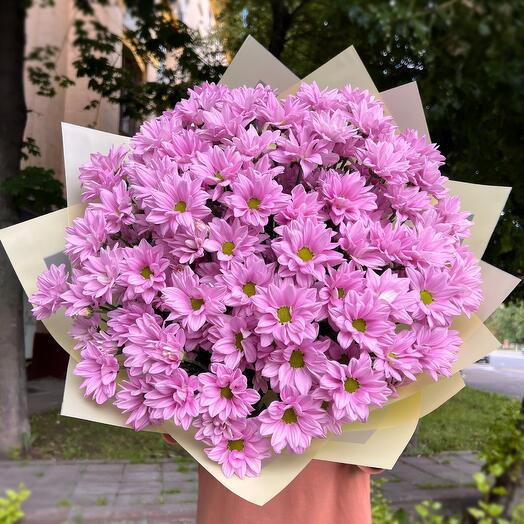 A large bouquet of 15 bush chrysanthemums // for a girl as a gift, for her birthday