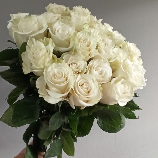 Моно 25 белых роз