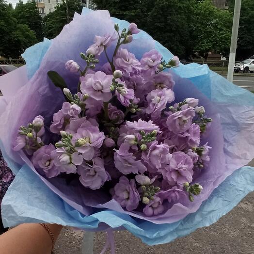 Моно из лавандовой маттиолы