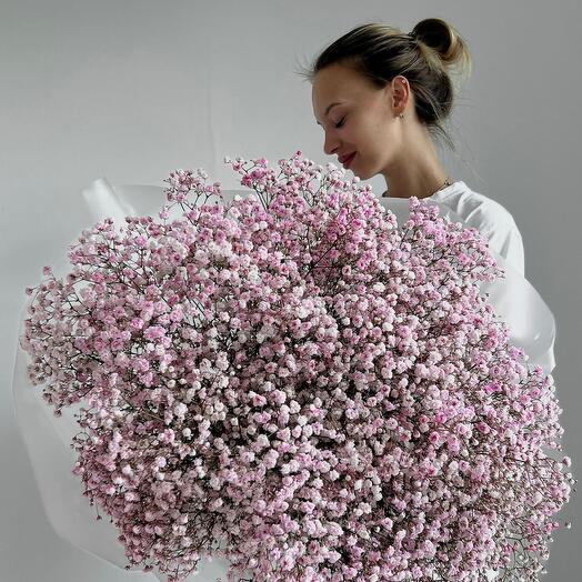 Bouquet of pink gypsophila