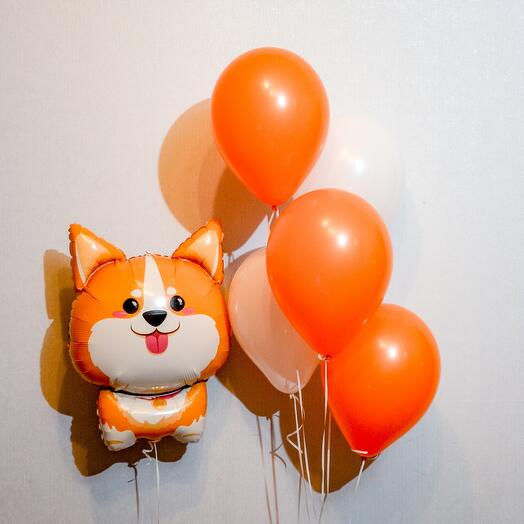 Набор из 5 шаров и собачки "Корги"