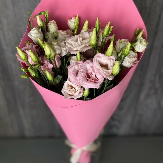 Gentle eustoma