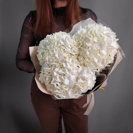 3 white hydrangeas
