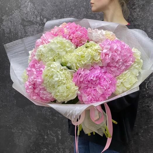 Mezcla de hortensias tiernas