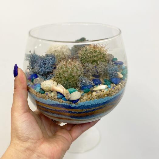 florarium in a glass with cacti